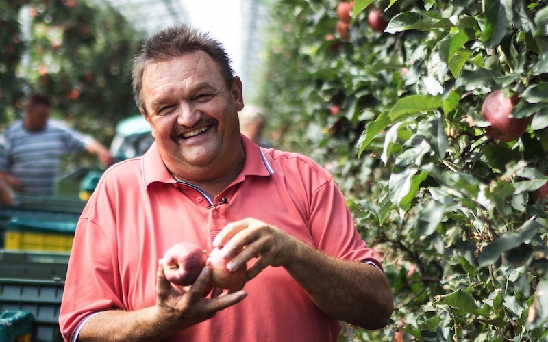 Obstbauer Bernhard läuft durch Apfelplantage, die mit Solarpaneelen überdacht ist.