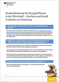 Bundesförderung für Energieeffizienz in der Wirtschaft – Zuschuss und Kredit 6 Schritte zur Förderung