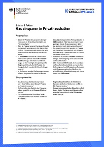 Cover der PDF "Zahlen & Fakten: Gas einsparen in Privathaushalten"