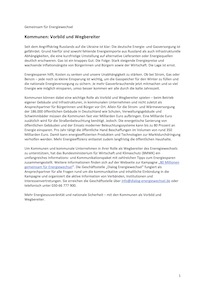 Cover der PDF "Problemaufriss und Energiespartipps für Kommunen als Textvorlage zur Weiterverwendung – offene Datei"