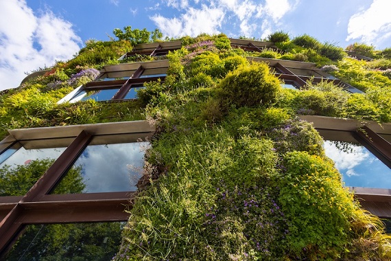 Symbolbild für energieeffiziente Gewerbegebäude: Begrünte Fassade für bessere Dämmung